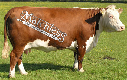 Matchless leather